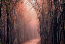 开云体育入口-波兰男篮震撼逆袭：贝弗利单骑救主，碾压塞尔维亚掀起篮球新风暴