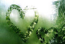 开云官方app入口-丹麦完胜克罗地亚，弗拉霍维奇关键制胜——足球场上的激情与荣耀