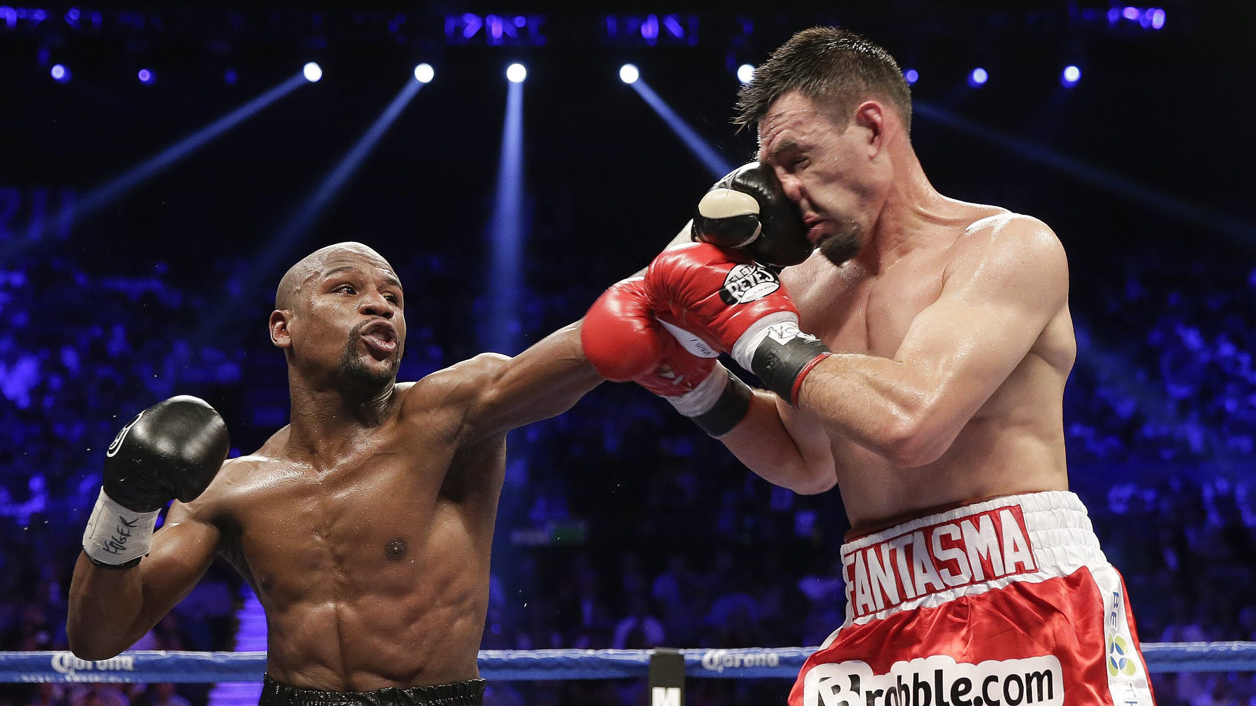 雪域雄鹰险胜北境狼群，字母哥铁血证明，唯实力永恒