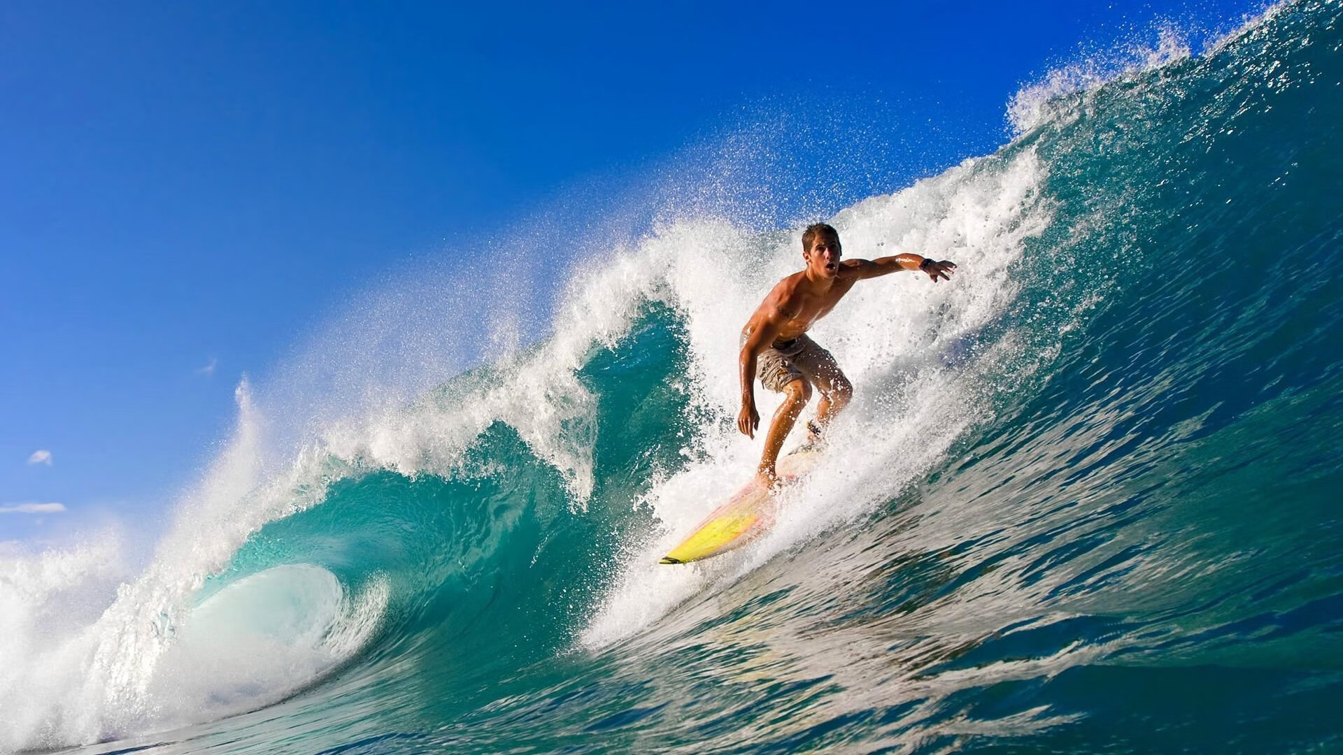 逆转之夜，法国队的钢铁意志与张本智和的烈焰一击